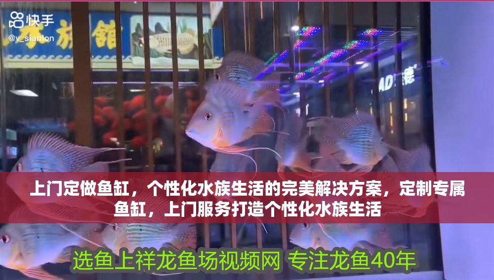 上門定做魚缸，個性化水族生活的完美解決方案，定制專屬魚缸，上門服務打造個性化水族生活