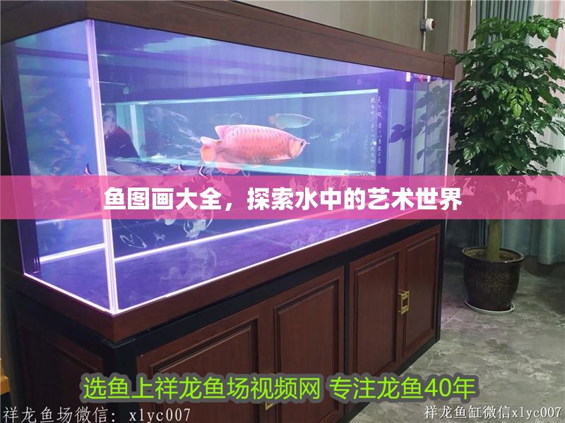 魚圖畫大全，探索水中的藝術世界 魚圖畫大全，探索水中的藝術世界 龍魚百科 第1張