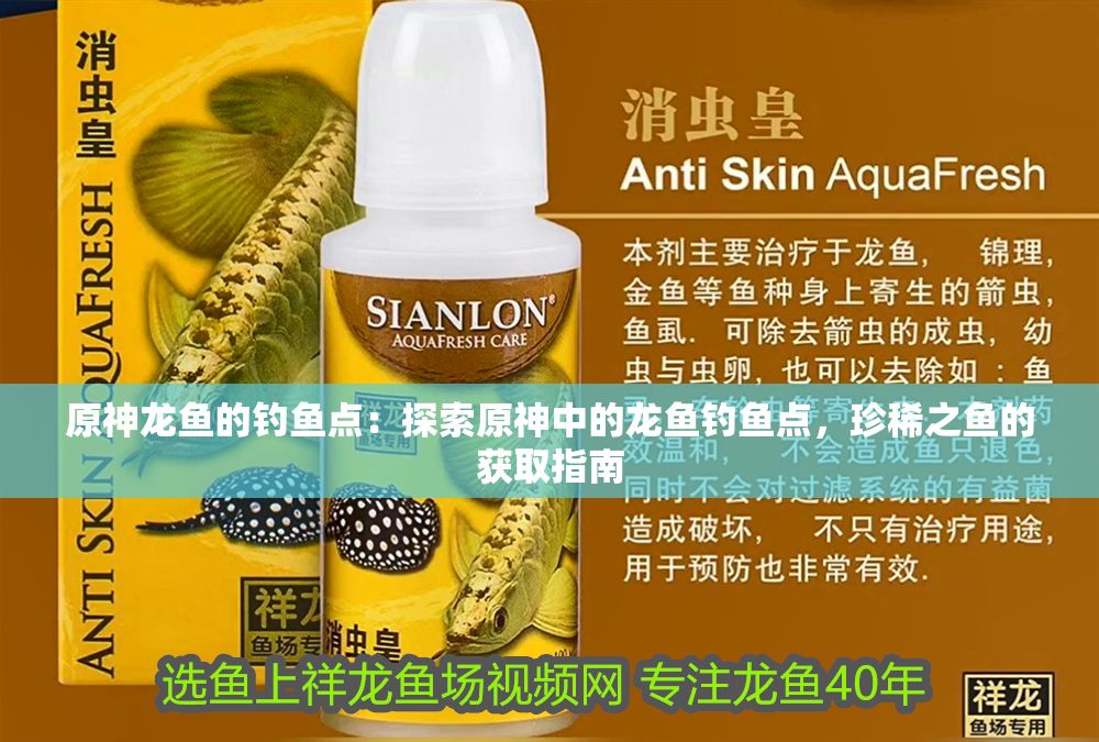 原神龍魚的釣魚點：探索原神中的龍魚釣魚點，珍稀之魚的獲取指南