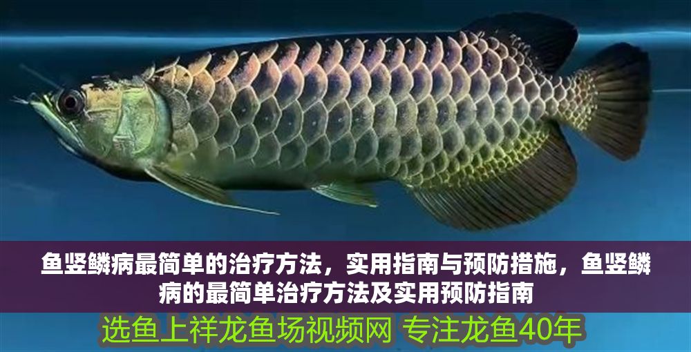 魚豎鱗病最簡單的治療方法，實用指南與預防措施，魚豎鱗病的最簡單治療方法及實用預防指南