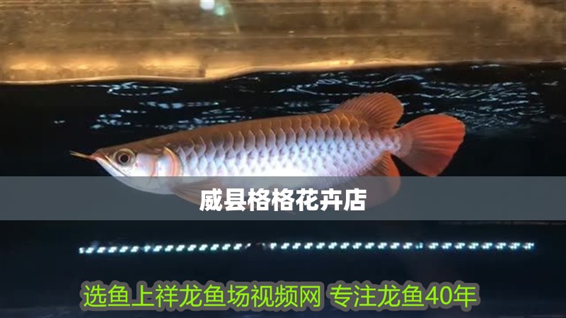 威縣格格花卉店