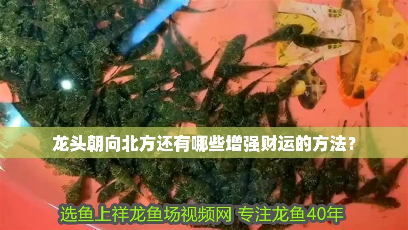 龍頭朝向北方還有哪些增強財運的方法？
