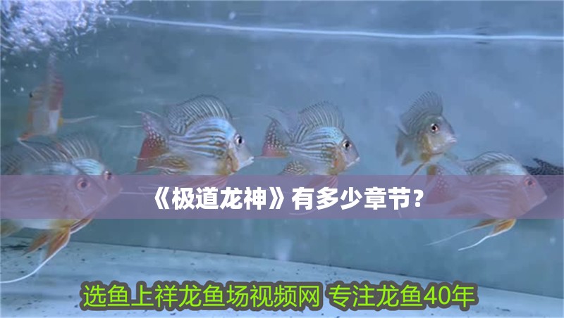 《極道龍神》有多少章節？