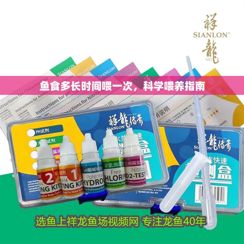 魚食多長時(shí)間喂一次，科學(xué)喂養(yǎng)指南