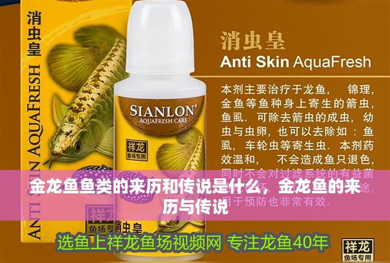 金龍魚魚類的來歷和傳說是什么，金龍魚的來歷與傳說