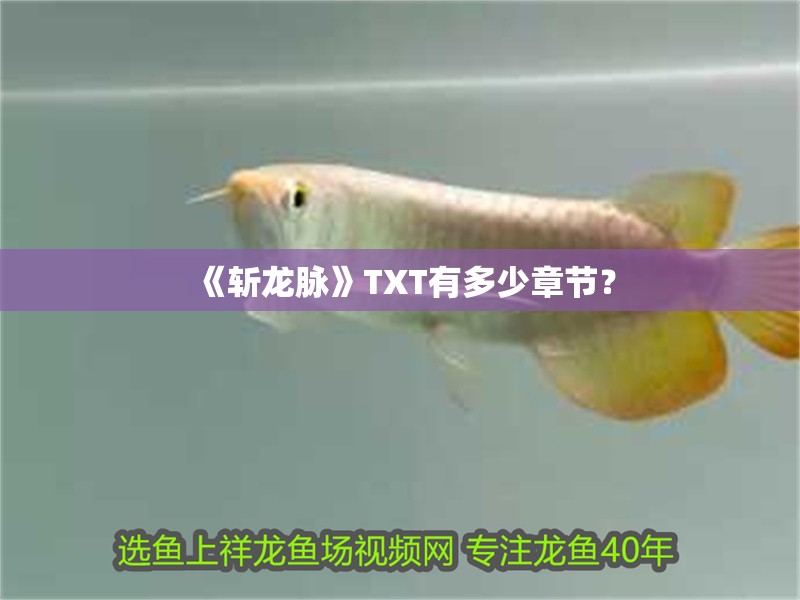 魚缸用增氧泵價(jià)格是多少:魚缸增氧機(jī)-xtrac增氧機(jī)-xtrac增氧機(jī) 《斬龍脈》TXT有多少章節(jié)? 龍魚百科 《斬龍脈》TXT有多少章節(jié)? 《斬龍脈》TXT有多少章節(jié)? 龍魚百科