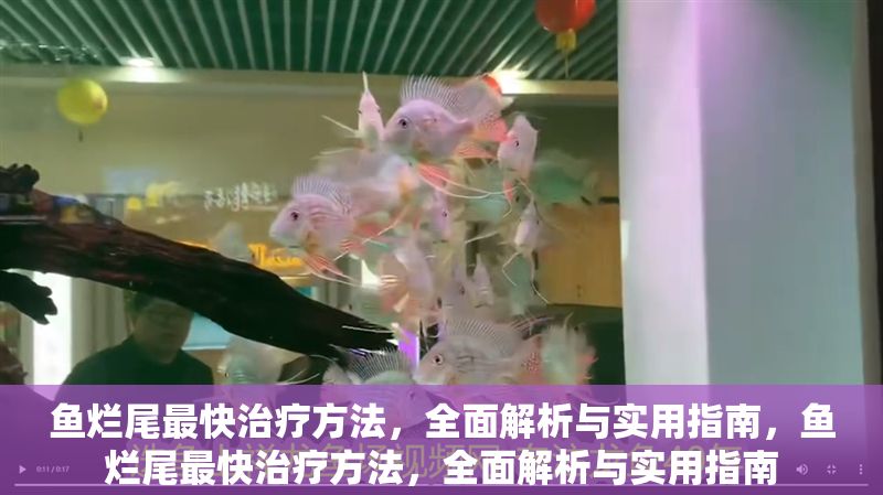魚爛尾最快治療方法，全面解析與實用指南，魚爛尾最快治療方法，全面解析與實用指南