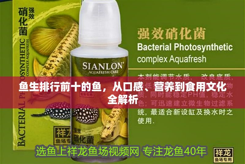 魚生排行前十的魚，從口感、營養到食用文化全解析