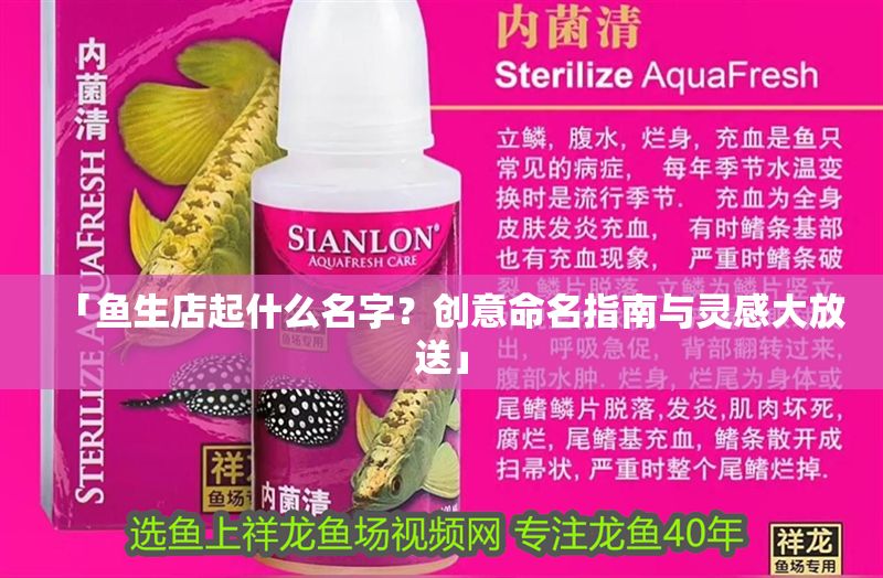 「魚生店起什么名字？創意命名指南與靈感大放送」