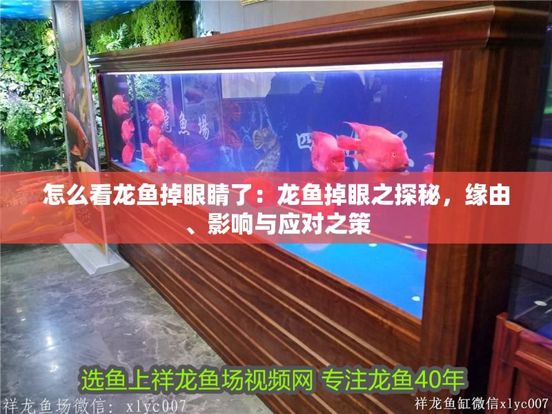 怎么看龍魚掉眼睛了：龍魚掉眼之探秘，緣由、影響與應對之策