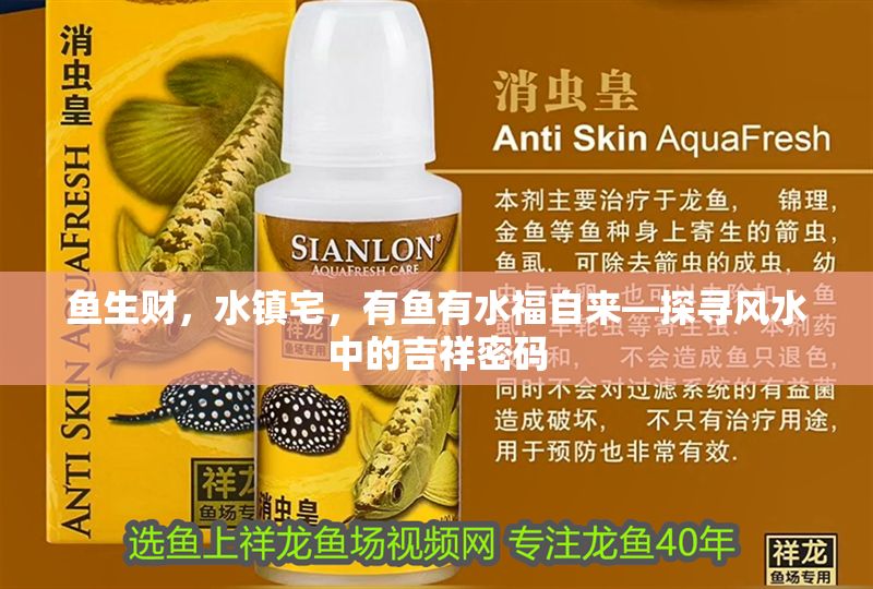 魚生財，水鎮(zhèn)宅，有魚有水福自來—探尋風(fēng)水中的吉祥密碼