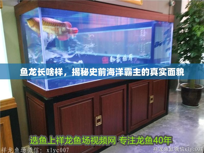 魚龍長啥樣，揭秘史前海洋霸主的真實面貌