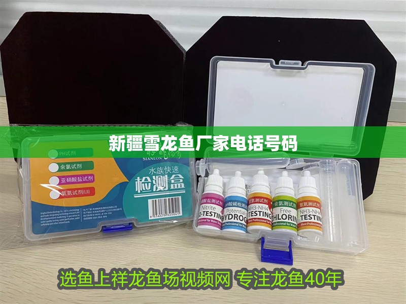 <strong><mark>新疆</mark></strong>雪龍魚廠家電話號碼