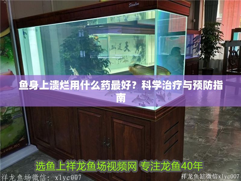 魚身上潰爛用什么藥最好？科學治療與預防指南 魚身上潰爛用什么藥最好？科學治療與預防指南 龍魚百科 第1張
