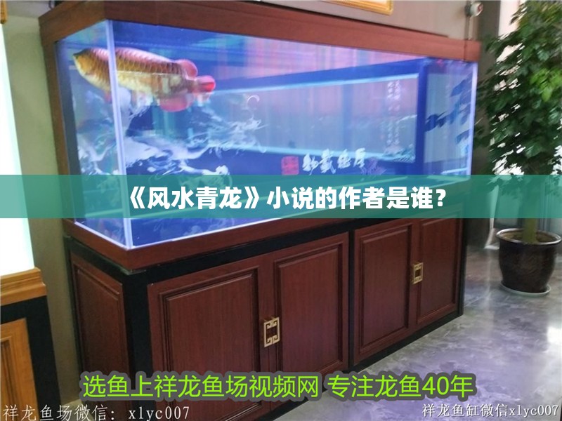 《風水青龍》小說的作者是誰？