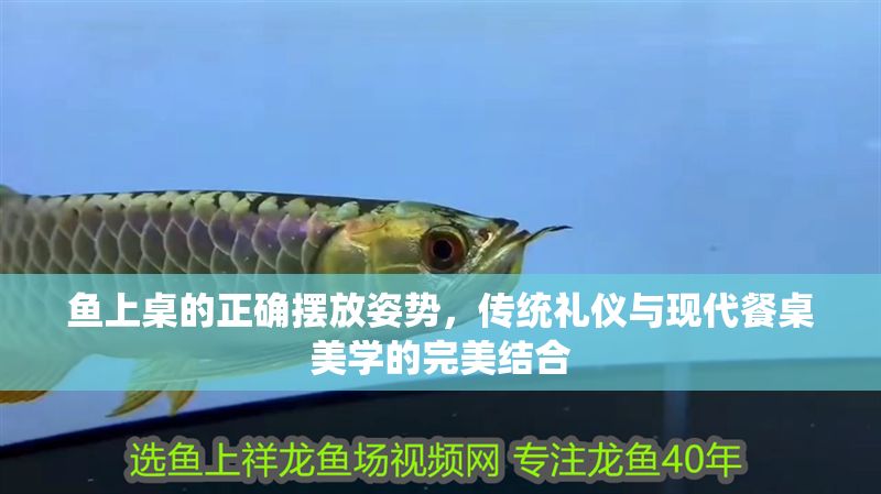 魚上桌的正確擺放姿勢,傳統禮儀與現代餐桌美學的完美結合 龍魚百科 第1張 魚上桌的正確擺放姿勢,傳統禮儀與現代餐桌美學的完美結合 魚上桌的正確擺放姿勢,傳統禮儀與現代餐桌美學的完美結合 龍魚百科 第1張