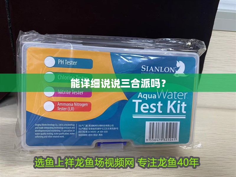 能詳細說說三合派嗎？