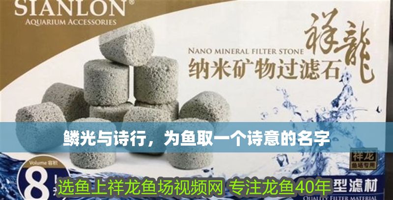 鱗光與詩行，為魚取一個(gè)詩意的名字