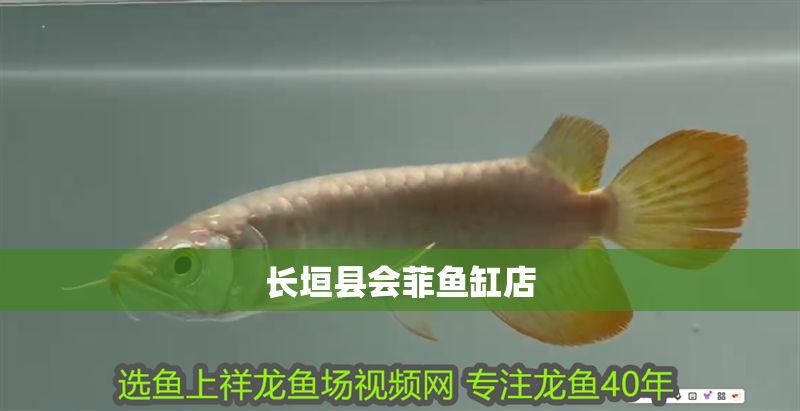 長垣縣會菲魚缸店