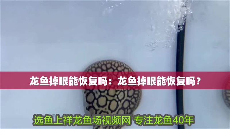 龍魚掉眼能恢復嗎：龍魚掉眼能恢復嗎？