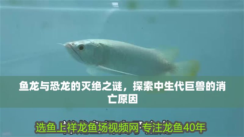 魚(yú)龍與恐龍的滅絕之謎，探索中生代巨獸的消亡原因 魚(yú)龍與恐龍的滅絕之謎，探索中生代巨獸的消亡原因 龍魚(yú)百科 第1張