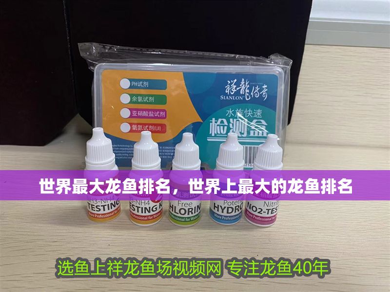 世界最大龍魚排名，世界上最大的龍魚排名