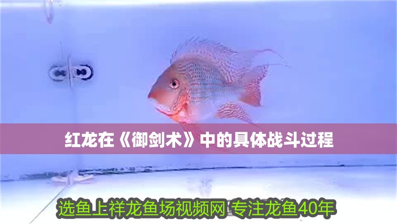 紅龍在《御劍術》中的具體戰斗過程