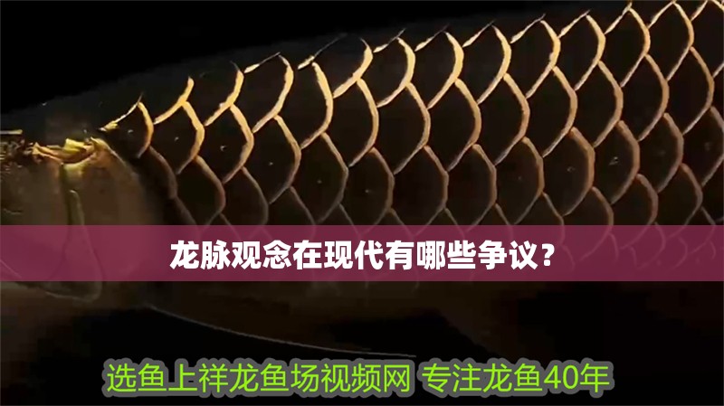 龍脈觀念在現代有哪些爭議？
