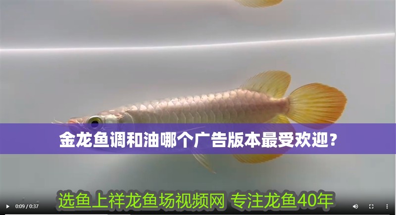 金龍魚調和油哪個廣告版本最受歡迎？