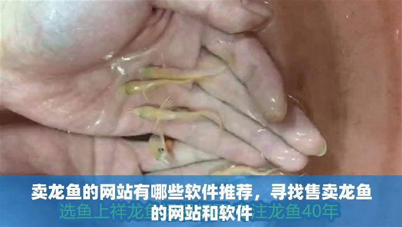 賣龍魚的網站有哪些軟件推薦，尋找售賣龍魚的網站和軟件