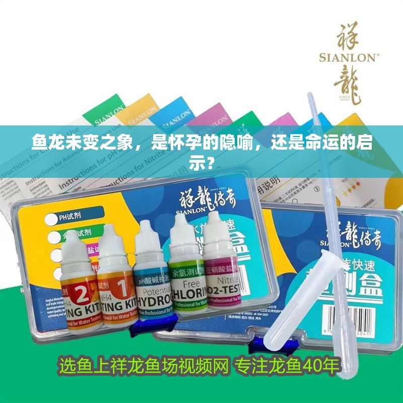 魚龍未變之象，是懷孕的隱喻，還是命運(yùn)的啟示？ 魚龍未變之象，是懷孕的隱喻，還是命運(yùn)的啟示？ 龍魚百科 第1張