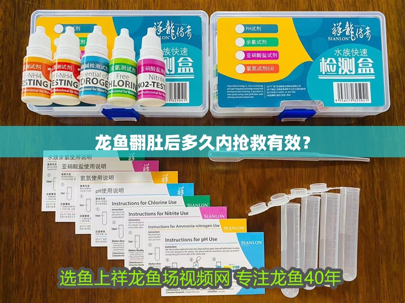 龍魚翻肚后多久內搶救有效？