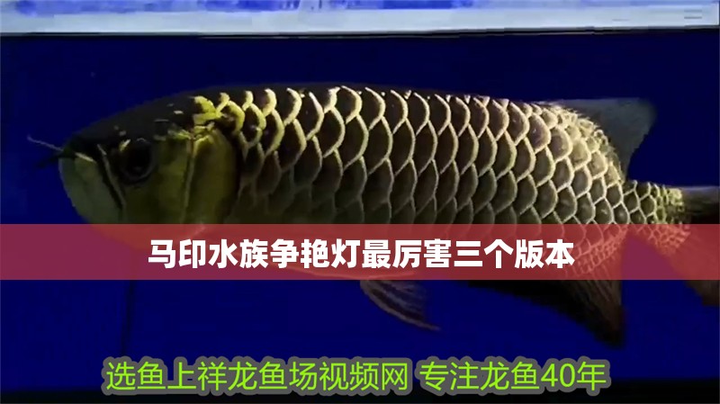 馬印水族爭艷燈最厲害三個(gè)版本
