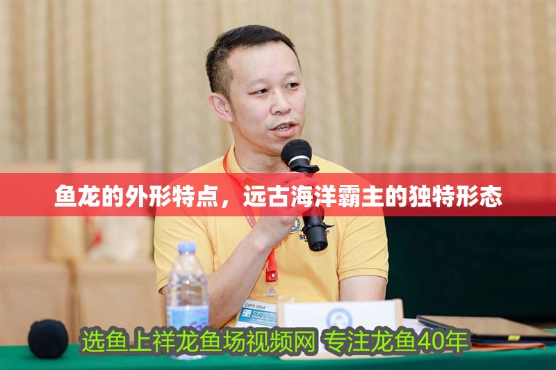 魚龍的外形特點，遠古海洋霸主的獨特形態 魚龍的外形特點，遠古海洋霸主的獨特形態 龍魚百科 第1張