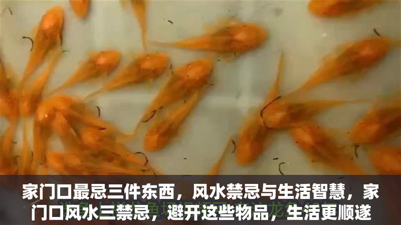 家門口最忌三件東西，風(fēng)水禁忌與生活智慧，家門口風(fēng)水三禁忌，避開這些物品，生活更順?biāo)? title=