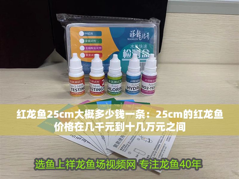 紅龍魚25cm大概多少錢一條：25cm的紅龍魚價(jià)格在幾千元到十幾萬元之間