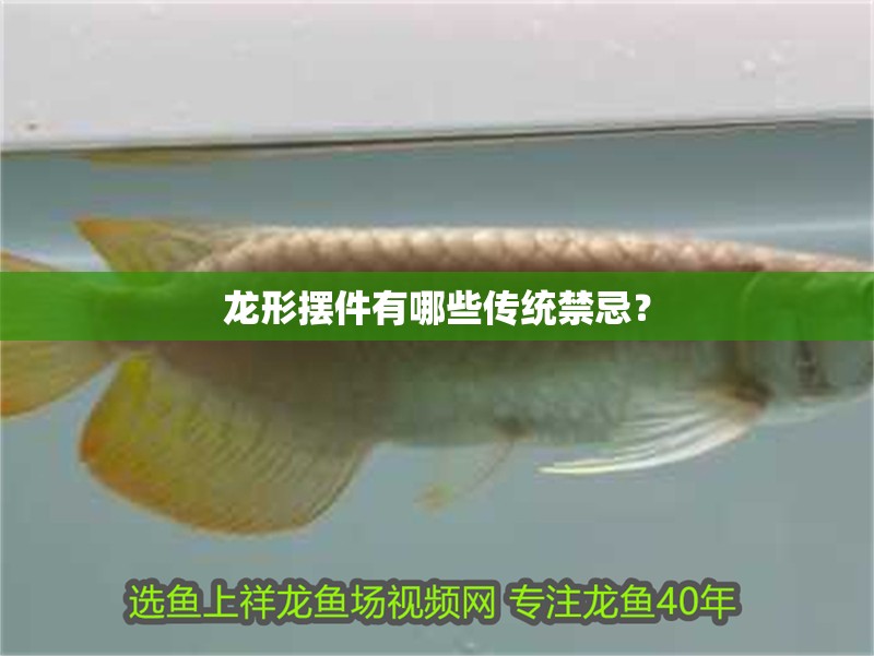 龍形擺件有哪些傳統(tǒng)禁忌？