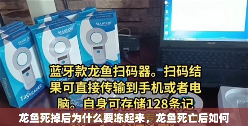 龍魚(yú)死掉后為什么要凍起來(lái)，龍魚(yú)死亡后如何正確處理 龍魚(yú)死掉后為什么要凍起來(lái)，龍魚(yú)死亡后如何正確處理 龍魚(yú)百科 第2張