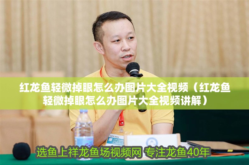 紅龍魚輕微掉眼怎么辦圖片大全視頻（紅龍魚輕微掉眼怎么辦圖片大全視頻講解）