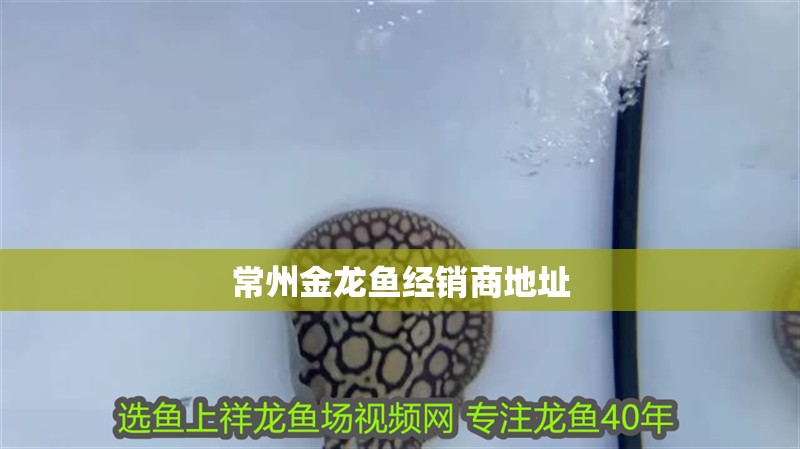 常州金龍魚經(jīng)銷商地址