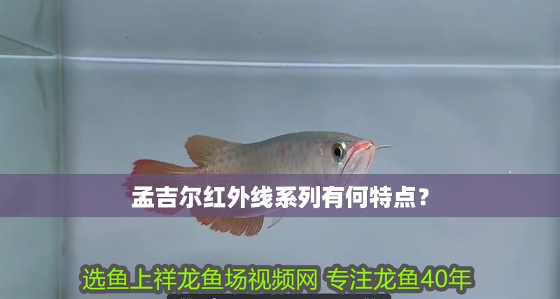 孟吉爾紅外線系列有何特點(diǎn)？