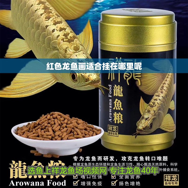 紅色龍魚畫適合掛在哪里呢