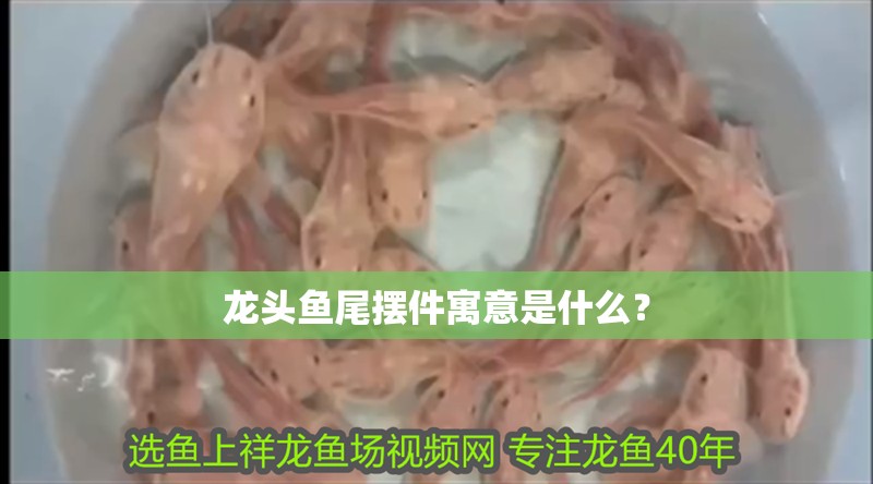 龍頭魚尾擺件寓意是什么？ 龍頭魚尾擺件寓意是什么？ 龍魚百科