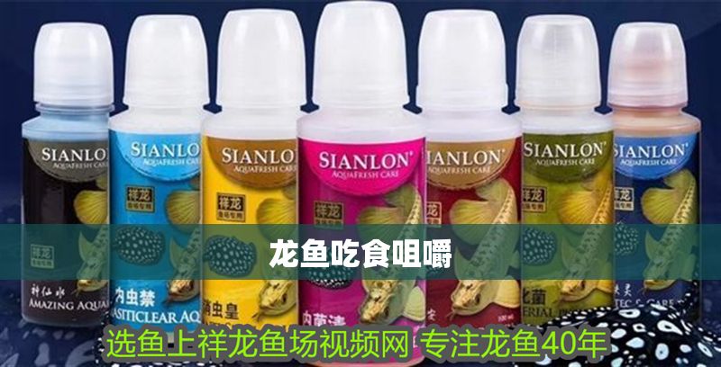 龍魚吃食咀嚼 龍魚吃食咀嚼 龍魚百科 第2張