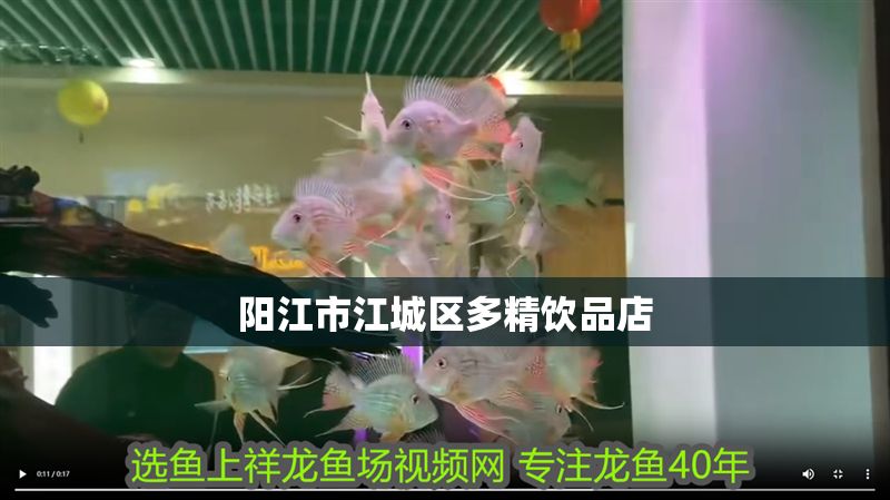 陽江市<strong><mark>江城</mark></strong>區(qū)多精飲品店