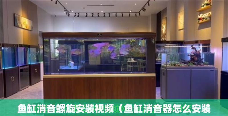 魚缸消音螺旋安裝視頻（魚缸消音器怎么安裝） 魚缸消音螺旋安裝視頻（魚缸消音器怎么安裝） 龍魚百科 第1張
