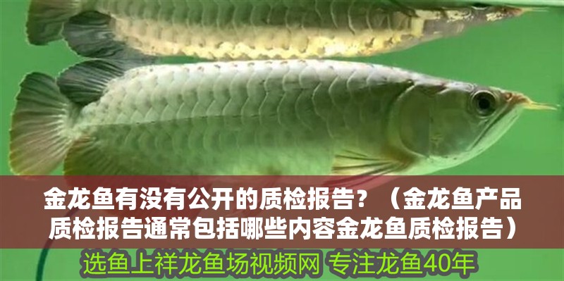 金龍魚有沒有公開的質(zhì)檢報告？（金龍魚產(chǎn)品質(zhì)檢報告通常包括哪些內(nèi)容金龍魚質(zhì)檢報告）