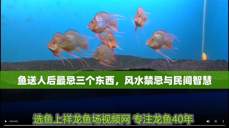 魚送人后最忌三個東西，風水禁忌與民間智慧