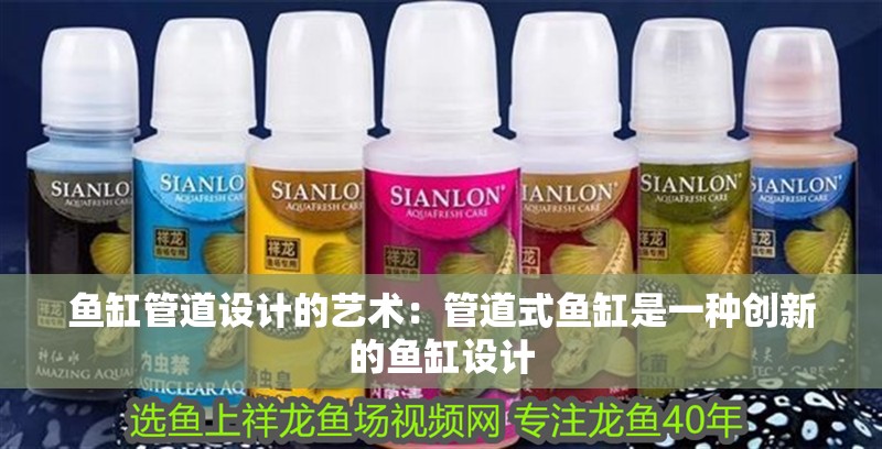 魚缸管道設計的藝術：管道式魚缸是一種創新的魚缸設計