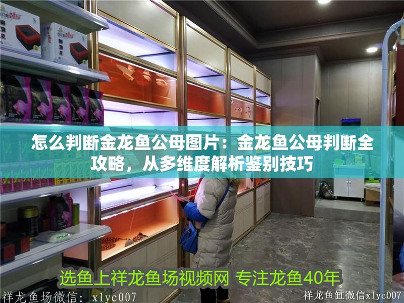 怎么判斷金龍魚公母圖片：金龍魚公母判斷全攻略，從多維度解析鑒別技巧